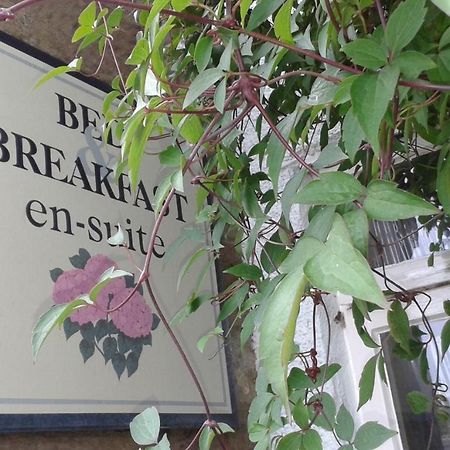מפרץ רובין הוד Thorpe Green House Vegetarian Bed & Breakfast מראה חיצוני תמונה