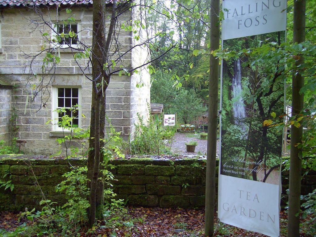 מפרץ רובין הוד Thorpe Green House Vegetarian Bed & Breakfast מראה חיצוני תמונה