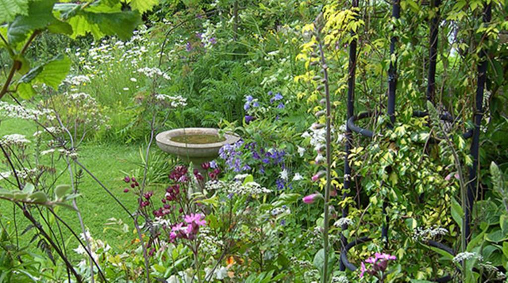 מפרץ רובין הוד Thorpe Green House Vegetarian Bed & Breakfast מראה חיצוני תמונה