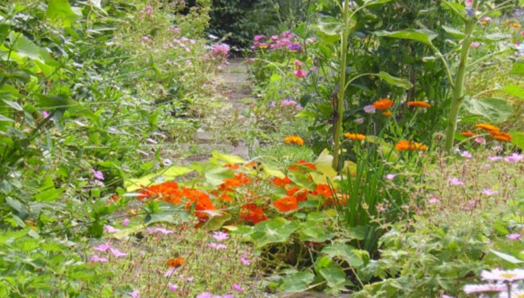 מפרץ רובין הוד Thorpe Green House Vegetarian Bed & Breakfast מראה חיצוני תמונה