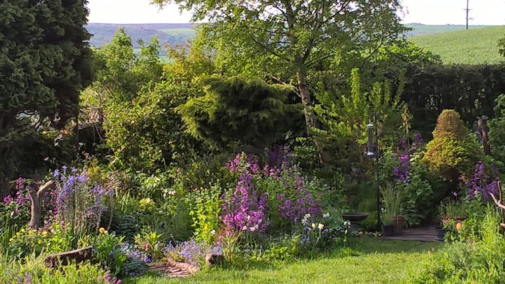 מפרץ רובין הוד Thorpe Green House Vegetarian Bed & Breakfast מראה חיצוני תמונה