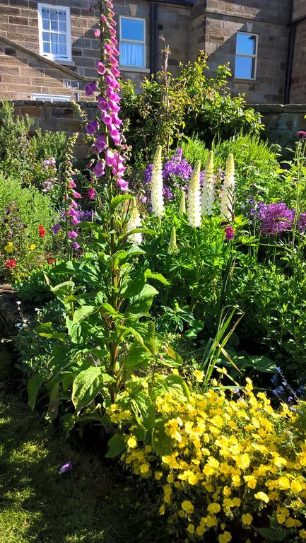 מפרץ רובין הוד Thorpe Green House Vegetarian Bed & Breakfast מראה חיצוני תמונה