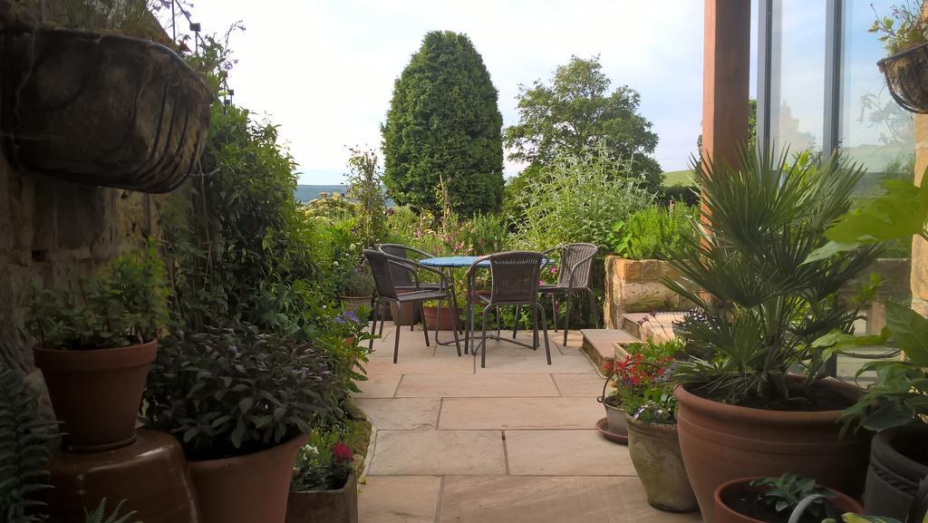 מפרץ רובין הוד Thorpe Green House Vegetarian Bed & Breakfast מראה חיצוני תמונה