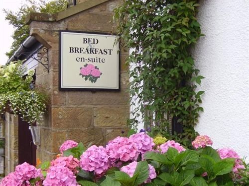 מפרץ רובין הוד Thorpe Green House Vegetarian Bed & Breakfast מראה חיצוני תמונה