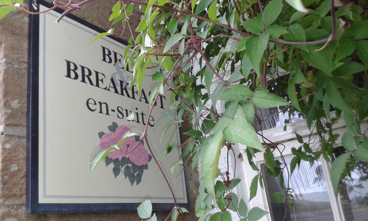 מפרץ רובין הוד Thorpe Green House Vegetarian Bed & Breakfast מראה חיצוני תמונה